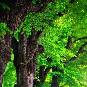 Meet your Posher, Leanora